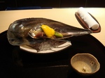 DSC00141.jpg
